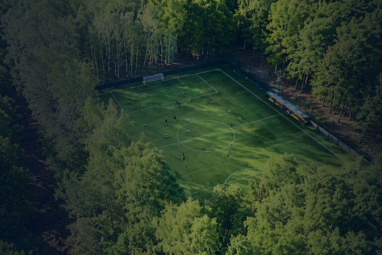 Luftaufnahme eines Waldes mit Fußballfeld als Bild für Nachhaltigkeit